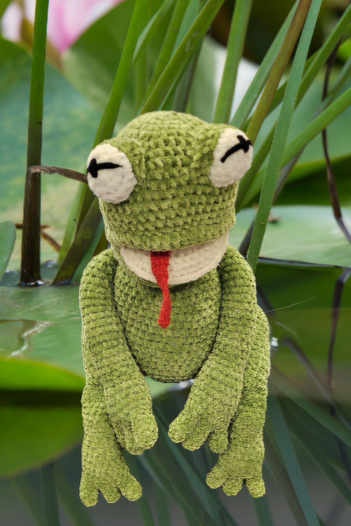 Alberto Frog Pattern