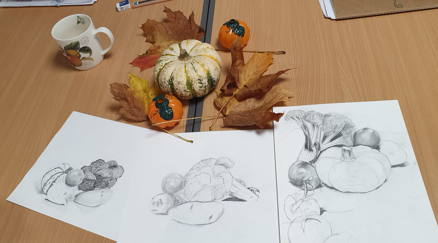 Drawing For Beginners 2 week course